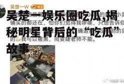 吴楚一娱乐圈吃瓜,揭秘明星背后的“吃瓜”故事