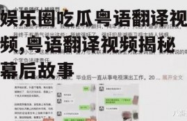 娱乐圈吃瓜粤语翻译视频,粤语翻译视频揭秘幕后故事