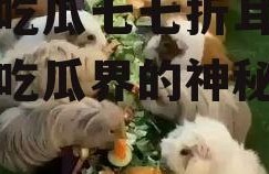 娱乐吃瓜七七折耳猫,娱乐吃瓜界的神秘力量