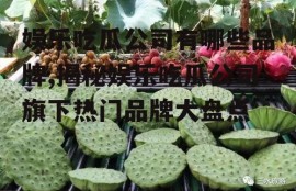 娱乐吃瓜公司有哪些品牌,揭秘娱乐吃瓜公司旗下热门品牌大盘点