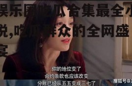 娱乐圈吃瓜合集最全小说,吃瓜群众的全网盛宴