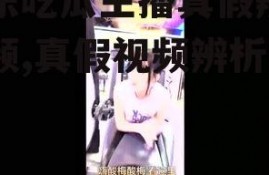 娱乐吃瓜主播真假辨别视频,真假视频辨析指南