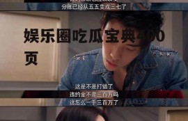 娱乐圈吃瓜宝典400页