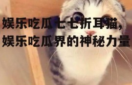娱乐吃瓜七七折耳猫,娱乐吃瓜界的神秘力量