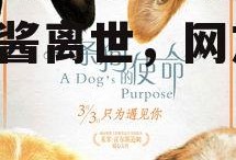 娱乐吃瓜酱去世的小狗,吃瓜酱离世，网友泪目