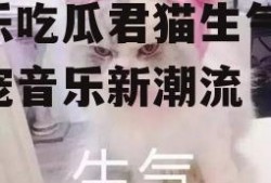 娱乐吃瓜君猫生气歌,萌宠音乐新潮流