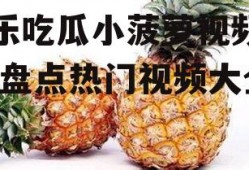 娱乐吃瓜小菠萝视频大全,盘点热门视频大全