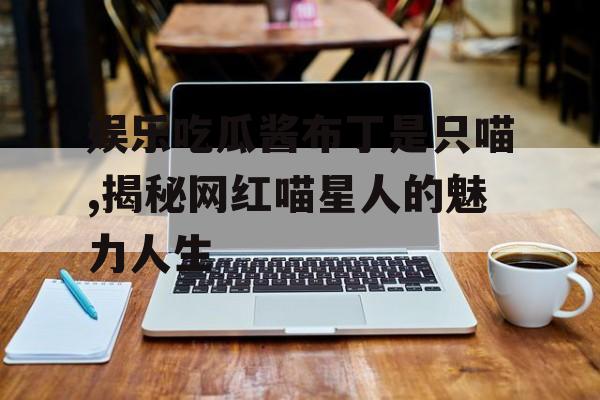 娱乐吃瓜酱布丁是只喵,揭秘网红喵星人的魅力人生 娱乐吃瓜酱布丁是只喵,揭秘网红喵星人的魅力人生