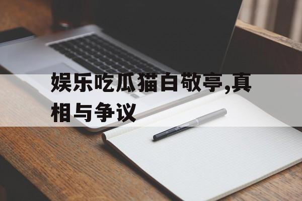 娱乐吃瓜猫白敬亭,真相与争议 娱乐吃瓜猫白敬亭,真相与争议